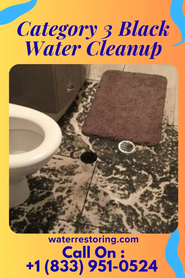 Category 3 Black Water Cleanup in Black Creek, NC