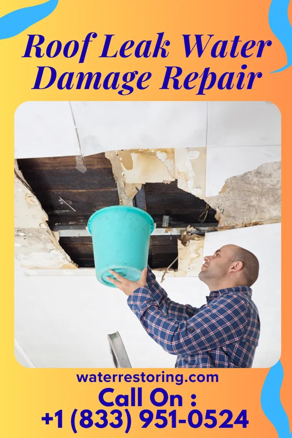 Roof Leak Water Damage Repair in Black Creek, NC