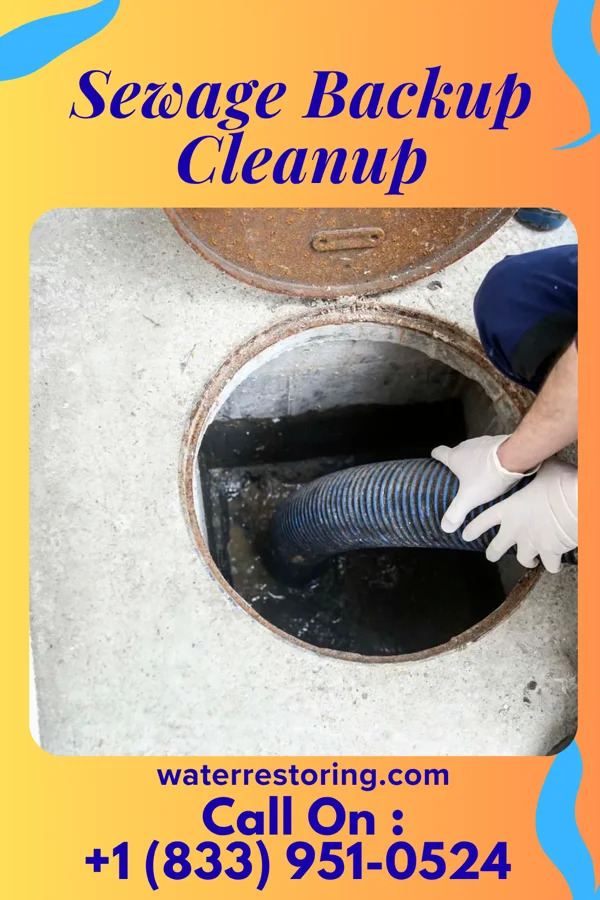 Sewage Backup Cleanup in Black Creek, NC